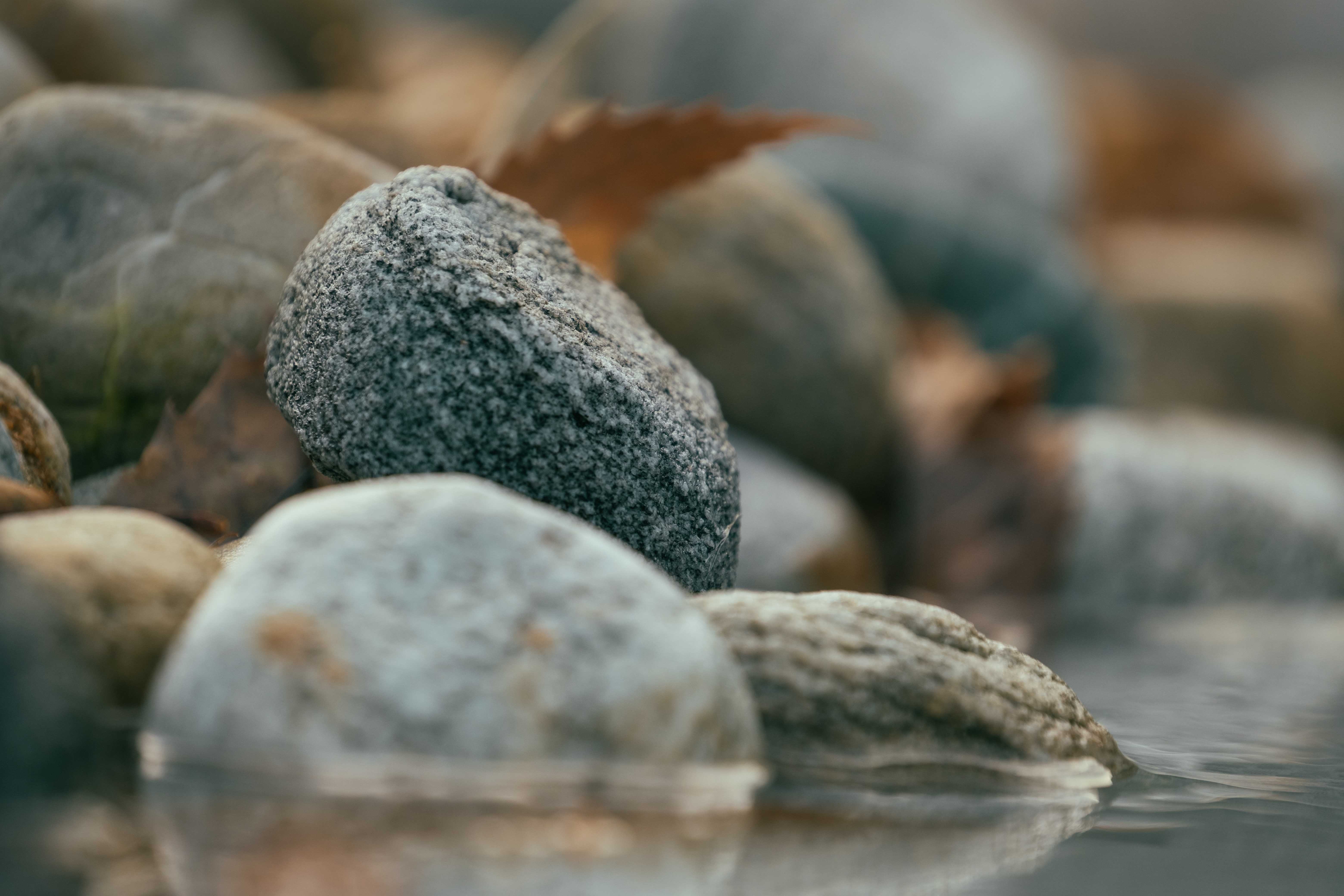 Smooth grey river stones, still wet