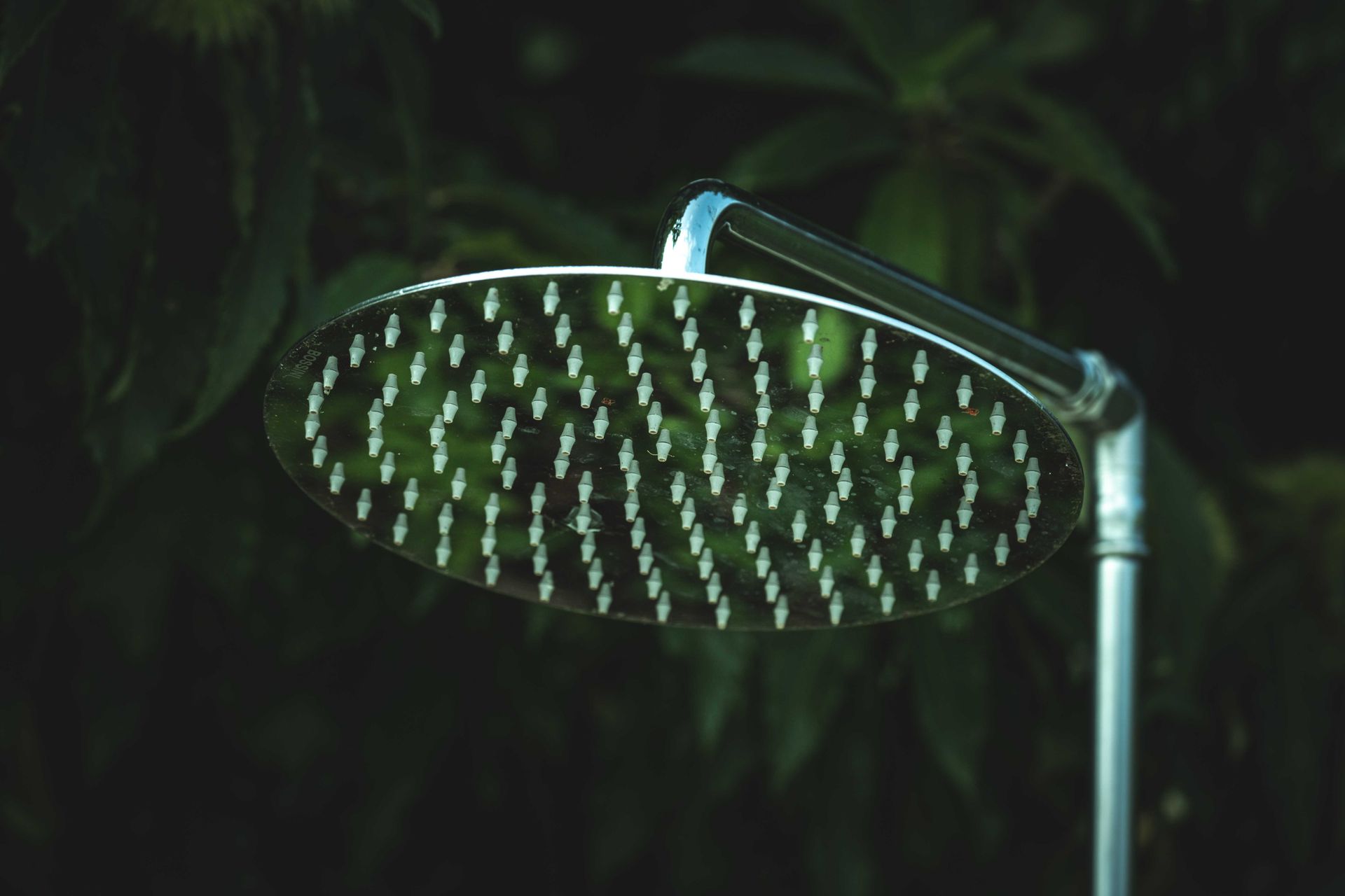 A close-up of a silver shower head in front of lush green leaves, outdoors.
