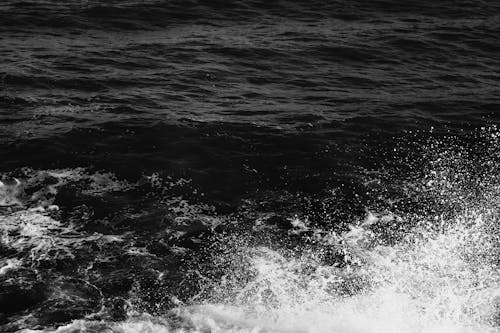 水, 海, 特写 的 免费素材图片