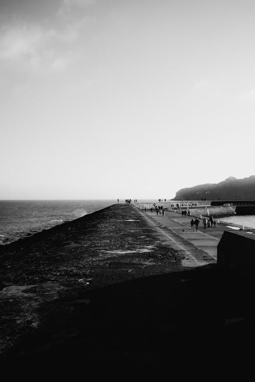 Fotobanka s bezplatnými fotkami na tému čiernobiely, čierny a biely, krajina pri mori