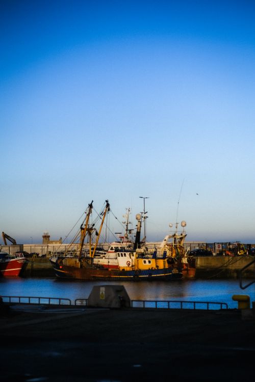 Free A peaceful morning at a harbor with fishing boats docked under a clear sky. Stock Photo