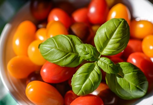 Free A vibrant bowl of cherry tomatoes and basil leaves under natural sunlight. Stock Photo
