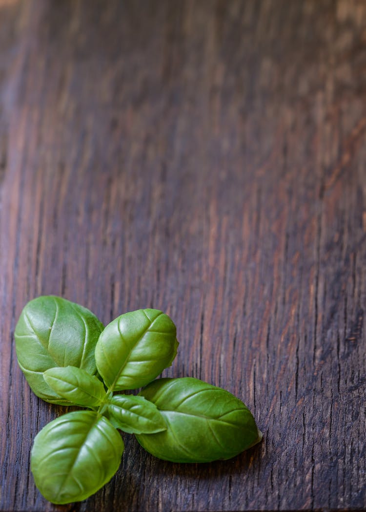 Green Basil Leaves