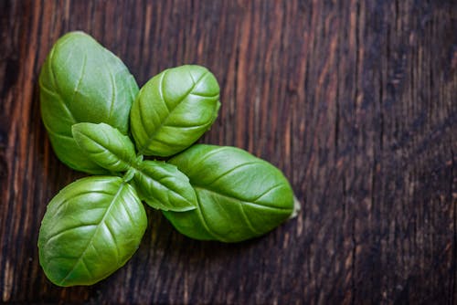 Groene Bladplant Op Bruin Houten Oppervlak