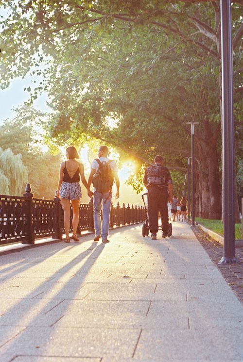Free A couple walks hand in hand during a sunset on a tree-lined pathway, exuding romance and tranquility. Stock Photo