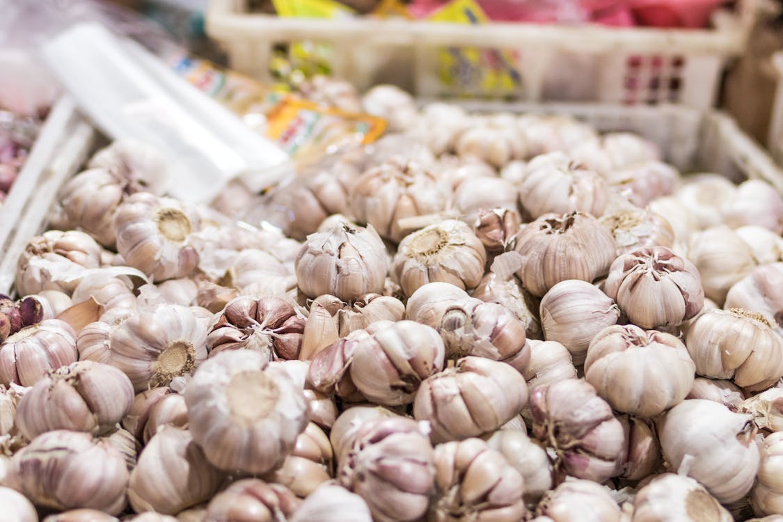 Garlic in Bucket