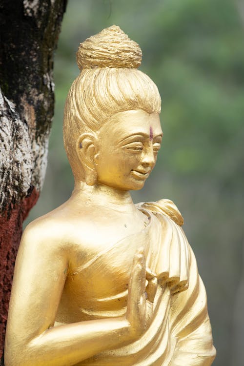 Ingyenes stockfotó aranysárga, Buddha, csendélet témában