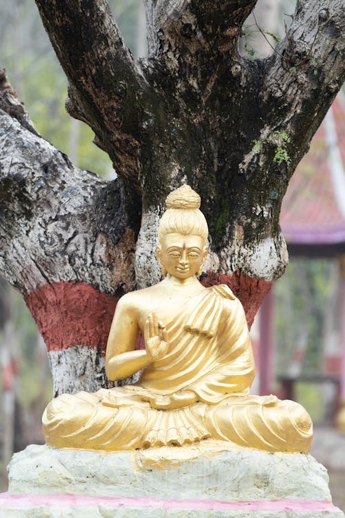 Gold Buddha Statue Near Brown Tree