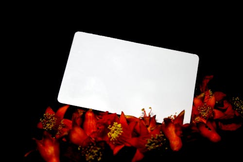 흰색 빈 카드의 무료 스톡 사진
