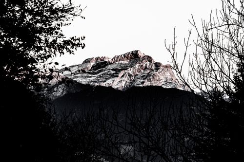 Free A breathtaking silhouette of a snowcapped mountain in Switzerland seen through tree branches. Stock Photo