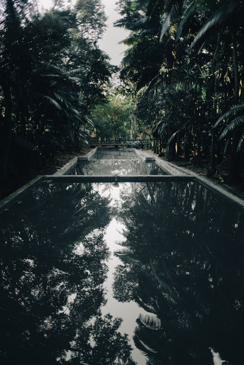 Water Reservoir in a Botanical Garden 