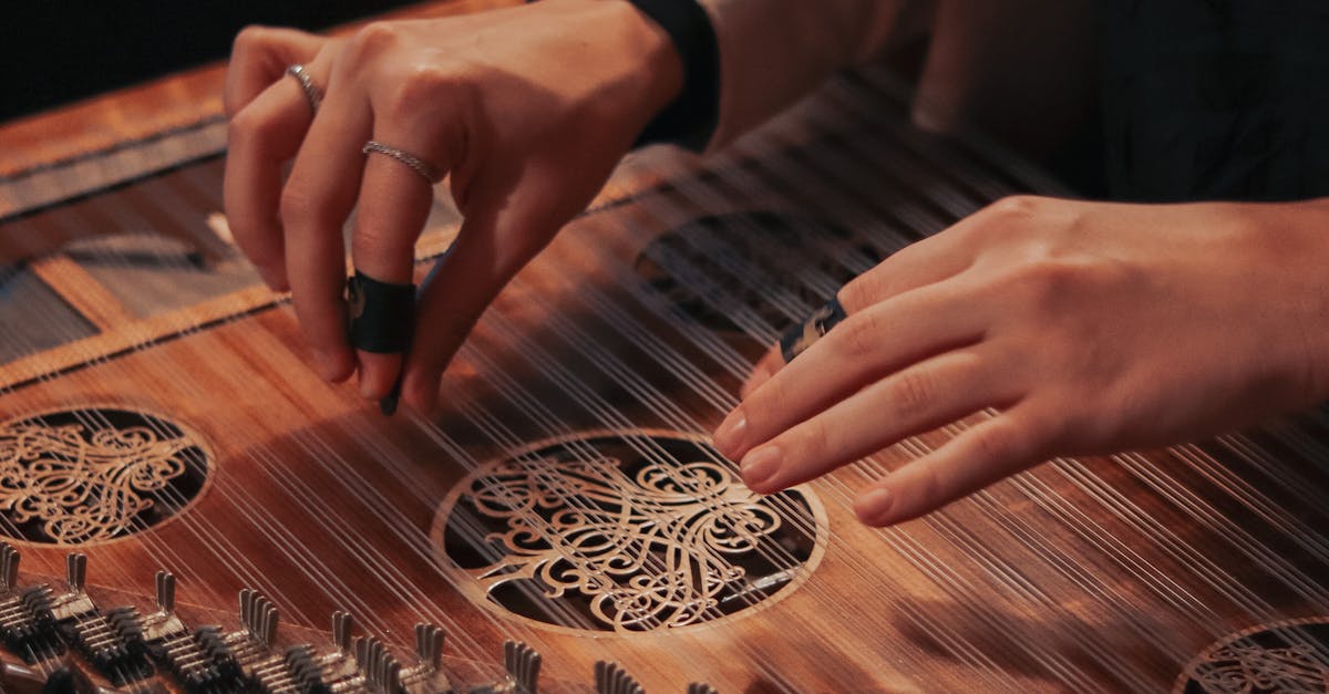 Person Playing a Kanun Instrument · Free Stock Photo