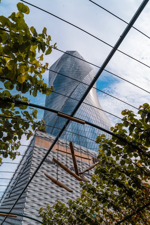 Free stock photo of architectural building, tree