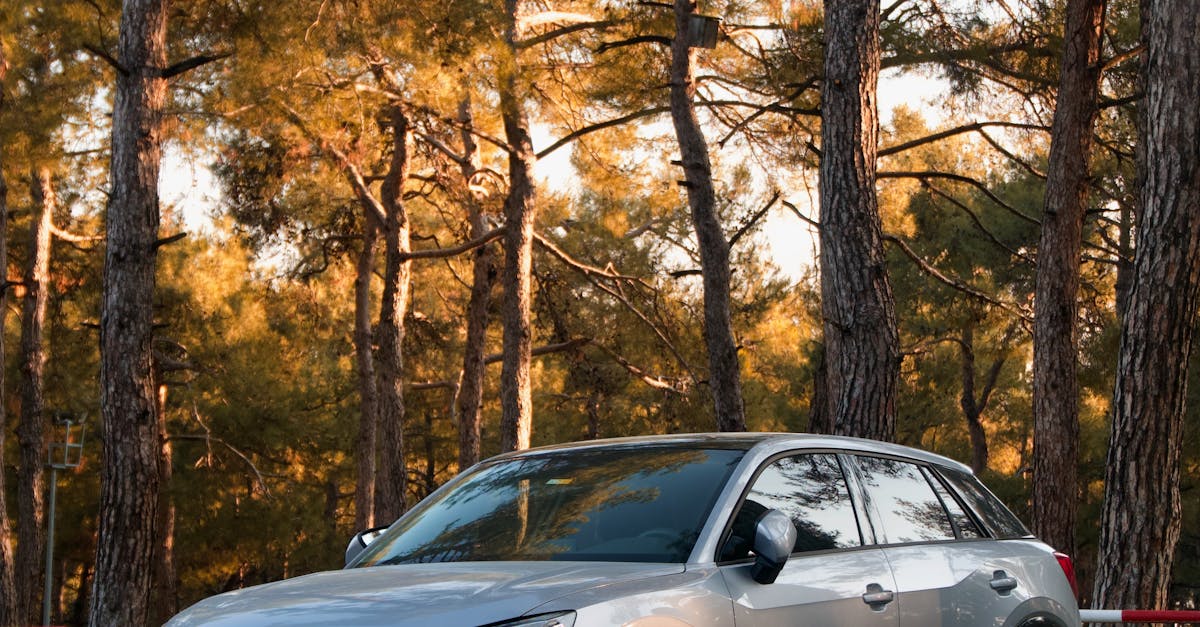 Foto Di Studio Professionali Di Automobili