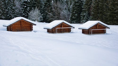 Wooden Cabins Covered with Snow