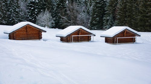 Gratis lagerfoto af bjælkehytte, forkølelse, frost