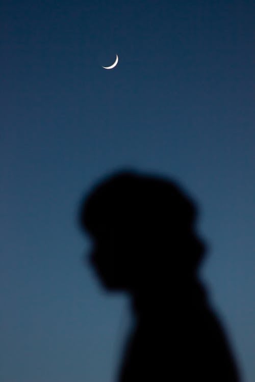 Free Silhouette of a Person during the Night Stock Photo