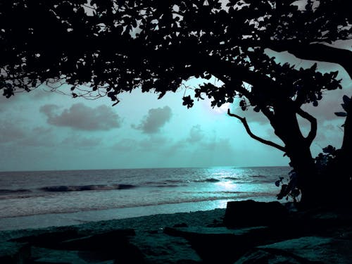 Free stock photo of beachside, midnight, moonlight