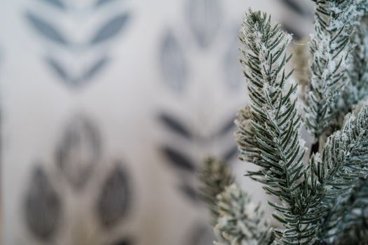 Close-up of frosted conifer branches with a blurred background, evoking a winter feeling.