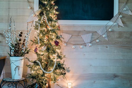 Free Green and Brown Christmas Tree Stock Photo