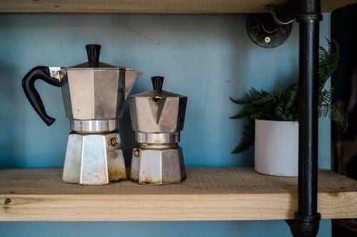 Plant and Kettles on Shelf