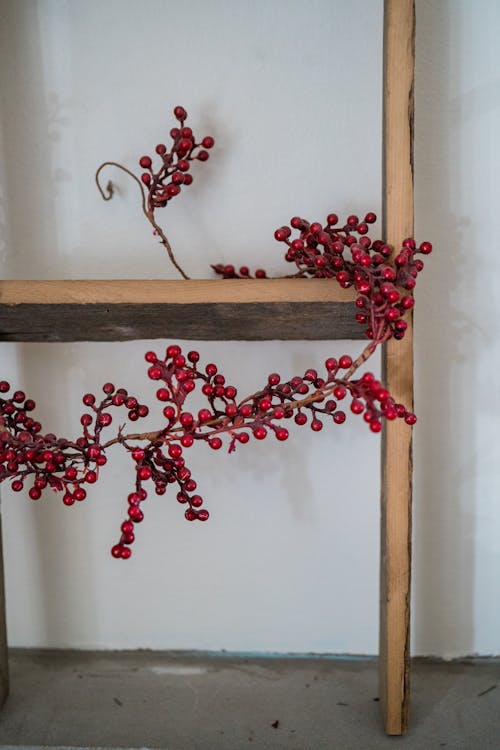 Red Berry Stems on Wooden Shelf · Free Stock Photo