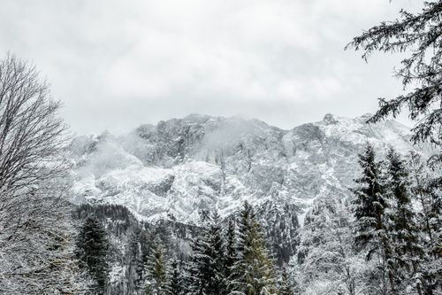 Free A breathtaking view of snow-covered mountains with frosty trees during winter. Stock Photo