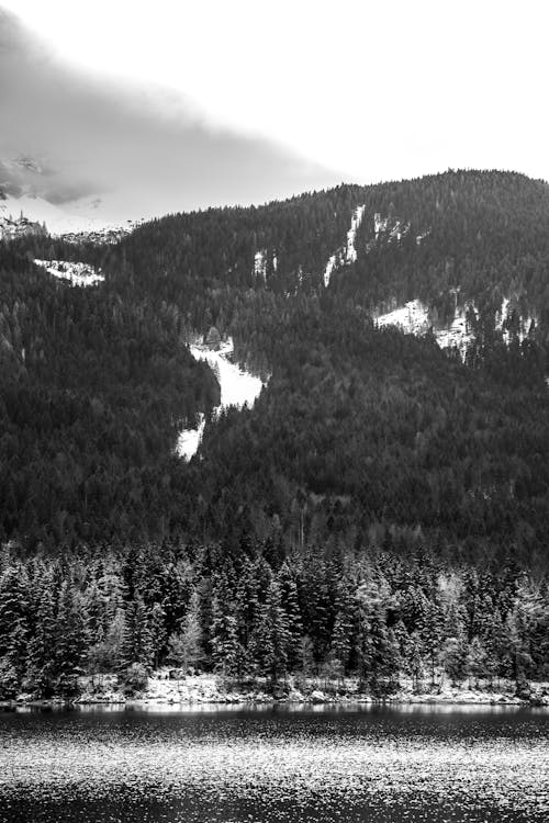 무료 검정색과 흰색, 겨울 풍경, 산맥의 무료 스톡 사진
