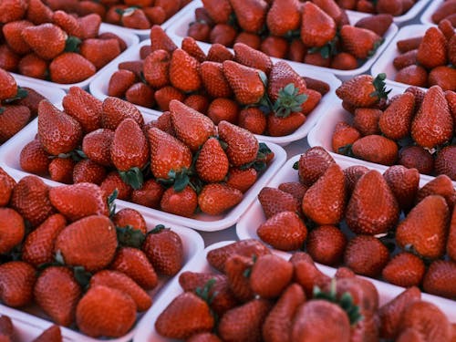 Gratis stockfoto met aardbeien, detailopname, eten Stockfoto