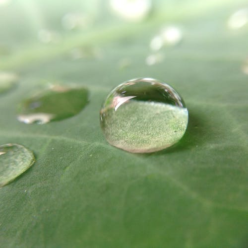 Fotografía De Enfoque Superficial De Gota De Agua