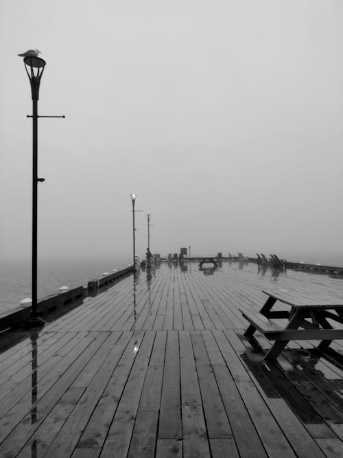 Free 
A Grayscale of a Wooden Pier Stock Photo
