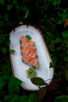 Artistic sushi presentation on a white plate surrounded by green foliage, showcasing Japanese cuisine.