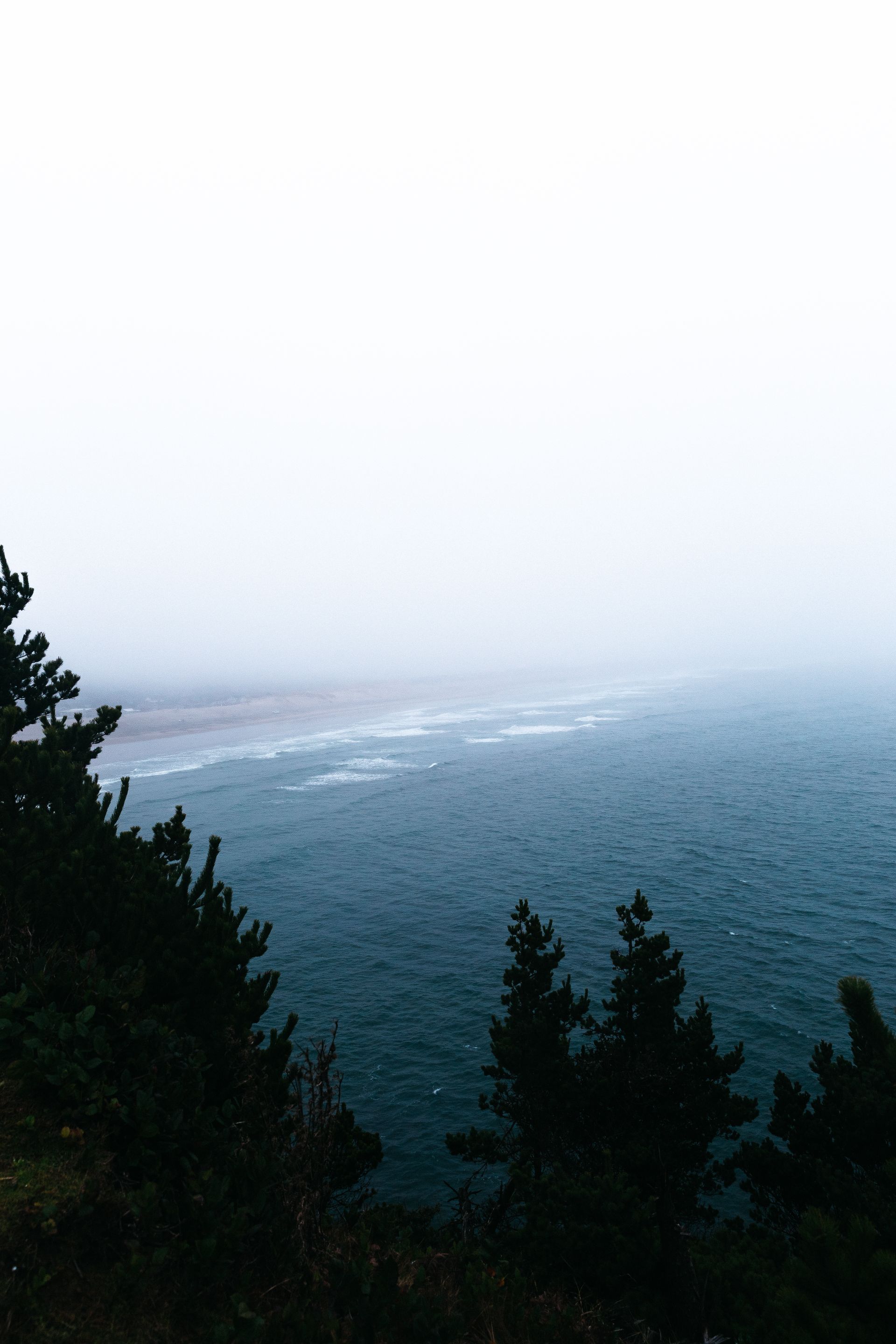Pacific Northwest oyster farm at dawn