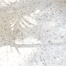 阳光透过植物，在水磨石地板上投下美丽的艺术图案