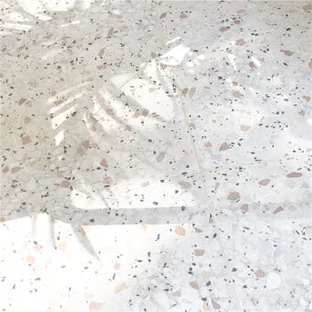 阳光透过植物，在水磨石地板上投下美丽的艺术图案