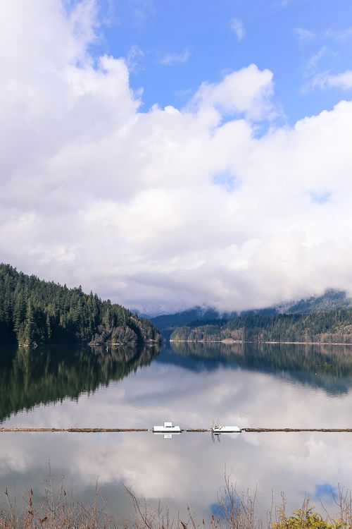 Free A serene mountain lake reflecting clouds and forest under a blue sky. Stock Photo