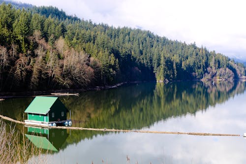 Green Wooden House Near Lake Surrounded by Green Trees