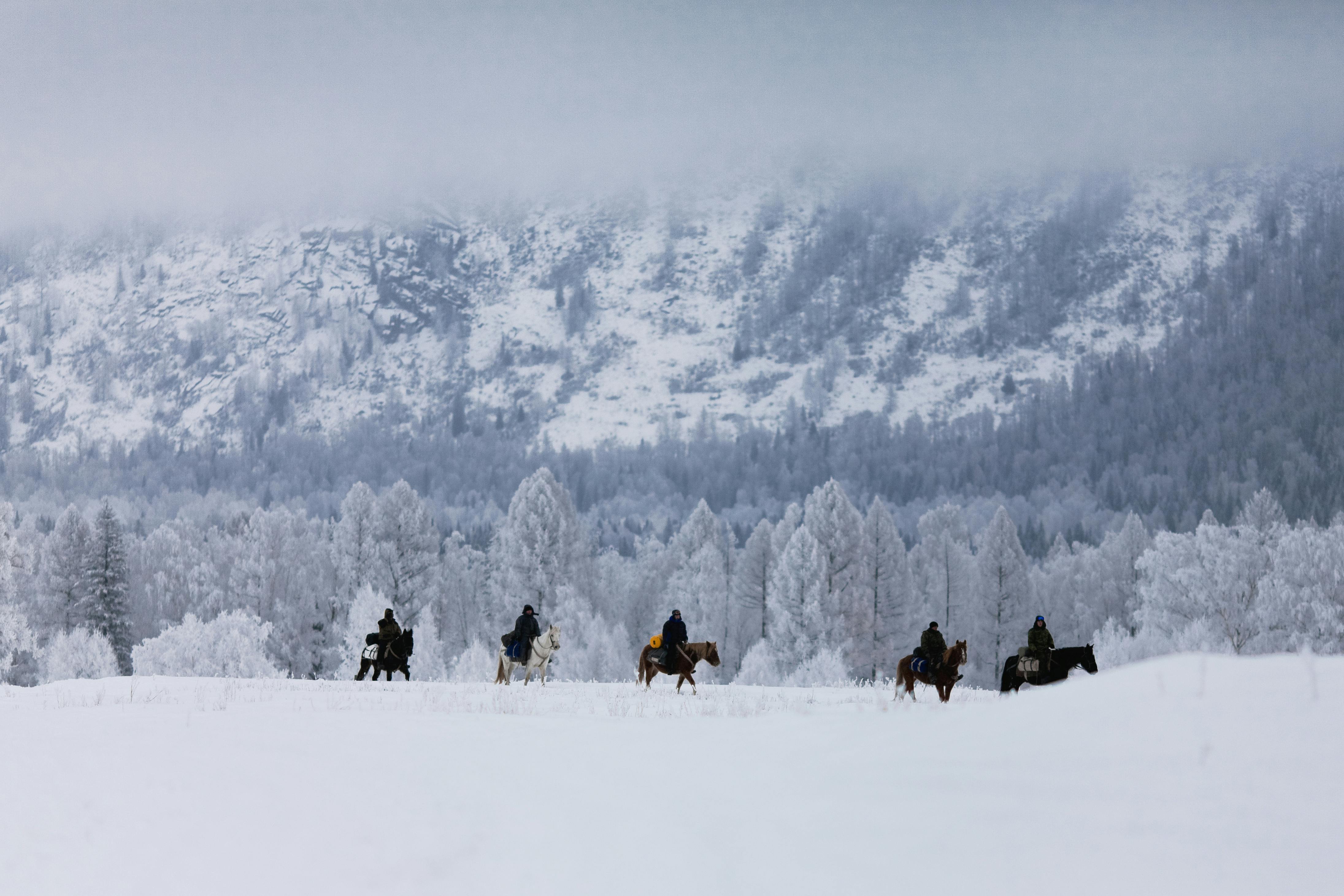 How cold is too cold to ride a horse?