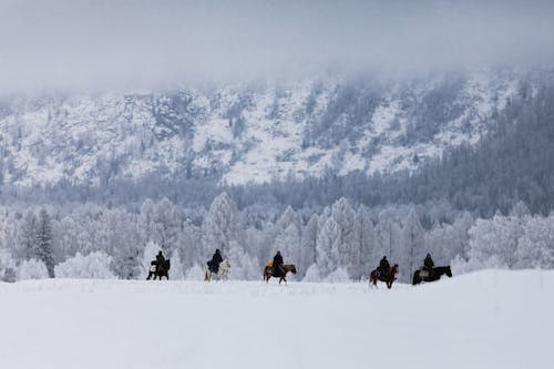 Free People on Snow Covered Field Riding Horses Stock Photo