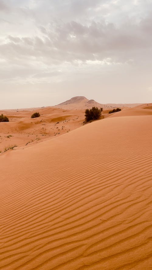 Brown Sand Field Under White Sky