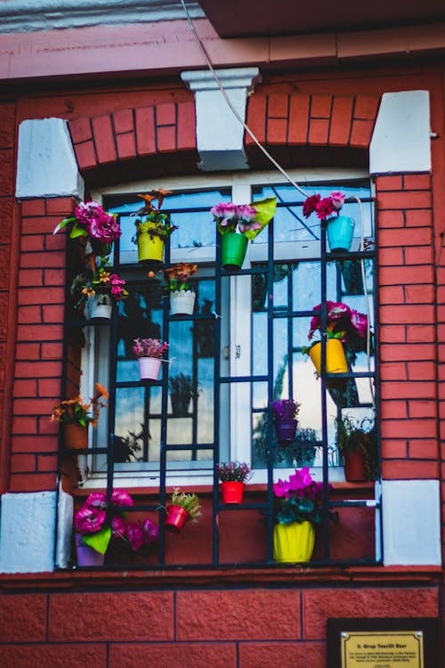 Free stock photo of colorful window