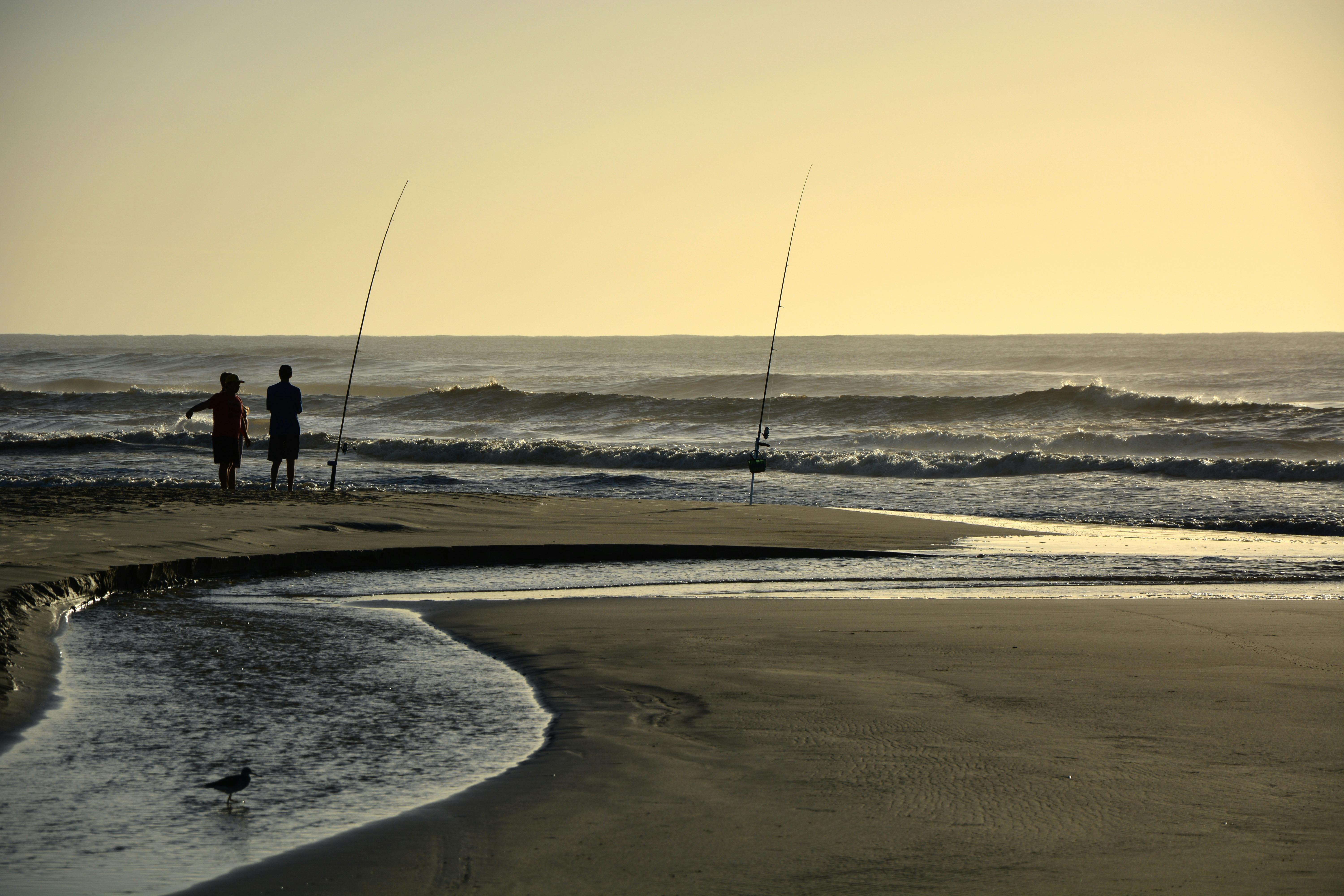 Men Fishing in the Beach · Free Stock Photo