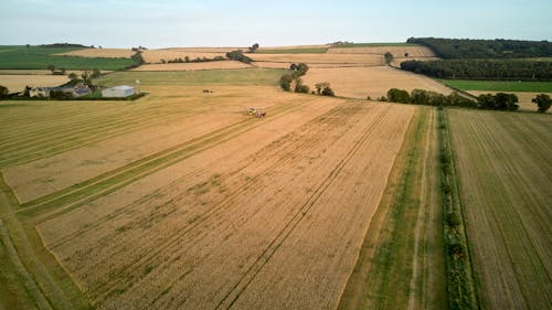 Gratis lagerfoto af afgrøde, agerjord, droneoptagelse