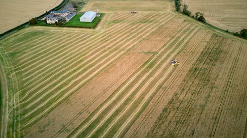 Foto profissional grátis de agricultura, campina, campos agrícolas