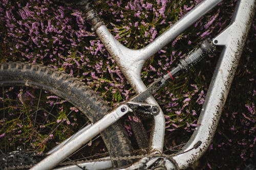 White Bicycle Wheel on Green Grass