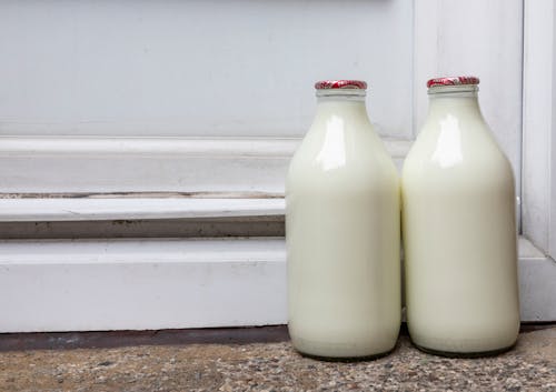 Free stock photo of cows milk, milk, milk bottle