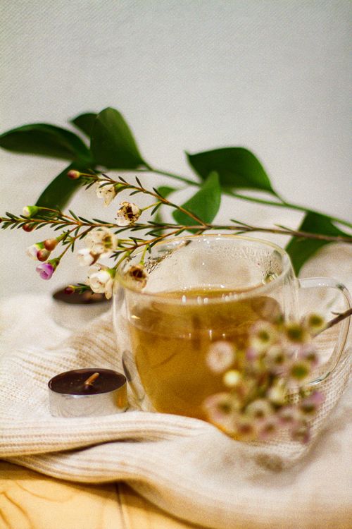 Free Relaxing scene of herbal tea in glass mug with delicate flowers. Stock Photo