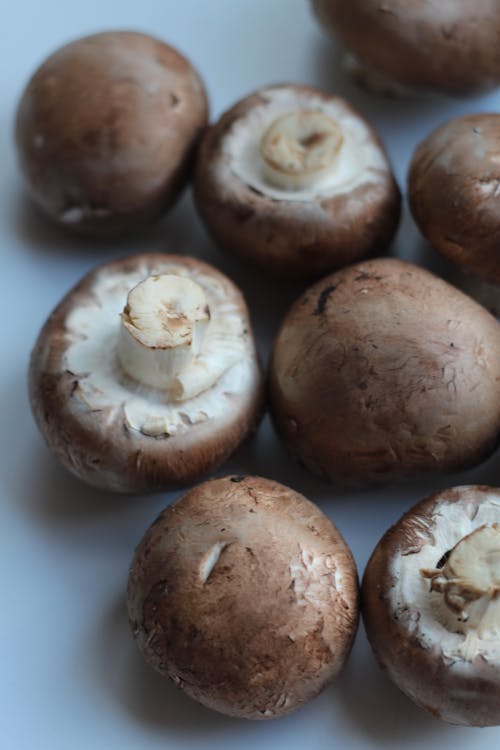 
A Close-Up Shot of Mushrooms