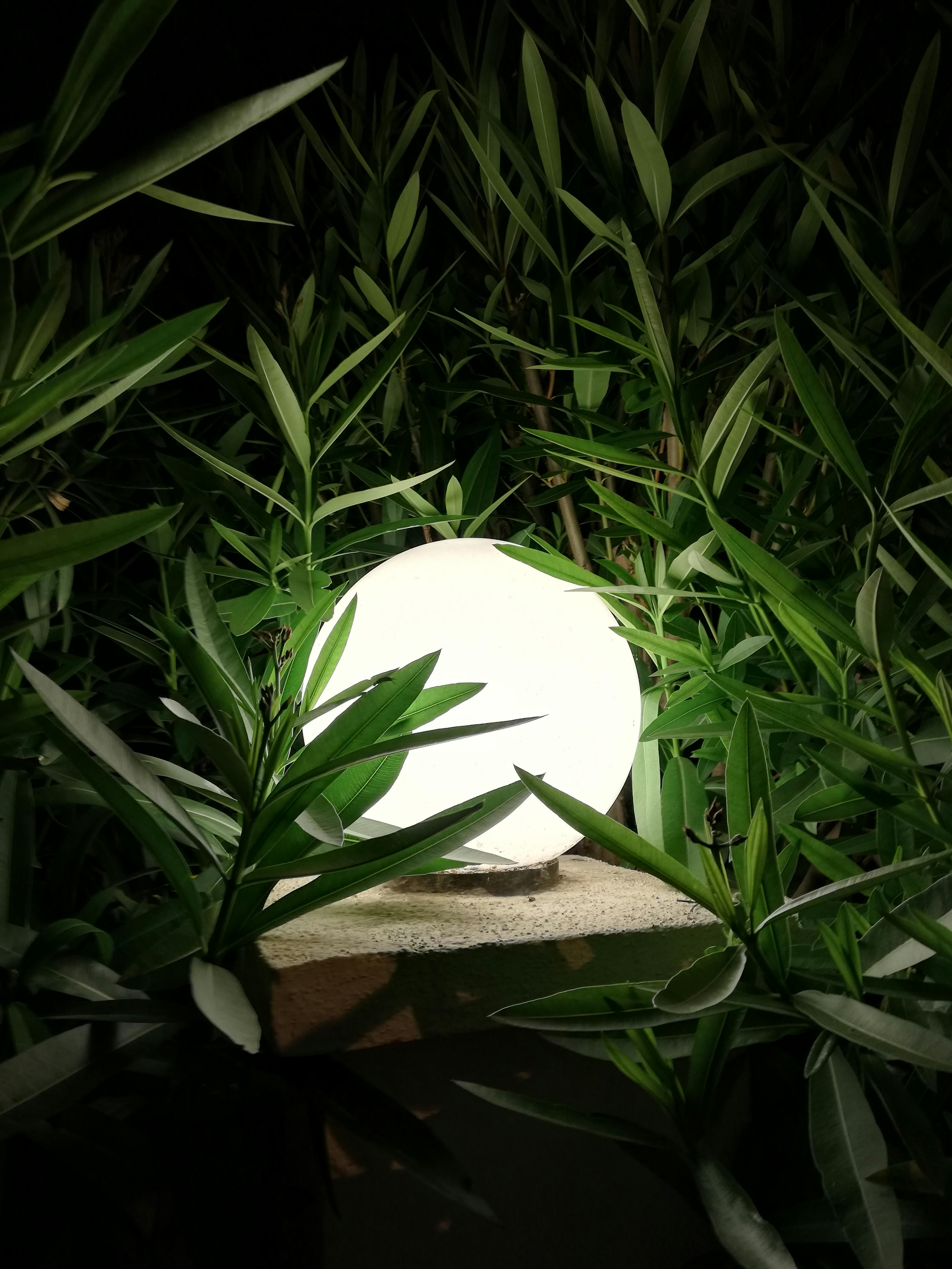 Green Lamp · Free Stock Photo