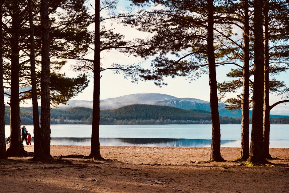 The Cairngorms